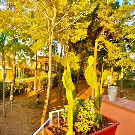 Linden House Etna * Aci SantʼAntonio